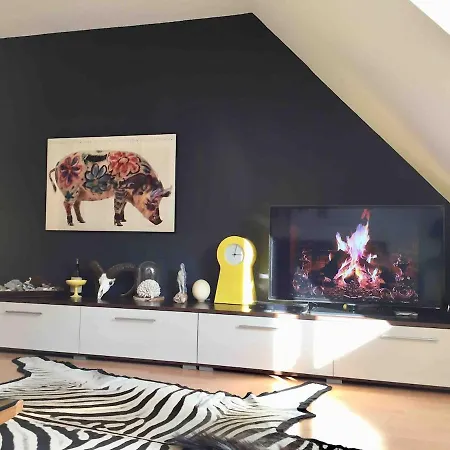 Mit Grosser Dachterrasse Im Herzen Greifswalds Greifswald