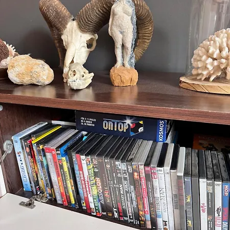 Apartament Mit Grosser Dachterrasse Im Herzen Greifswalds Greifswald