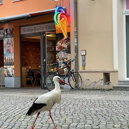 Mit Grosser Dachterrasse Im Herzen Greifswalds