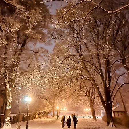 Mit Grosser Dachterrasse Im Herzen Greifswalds Apartament