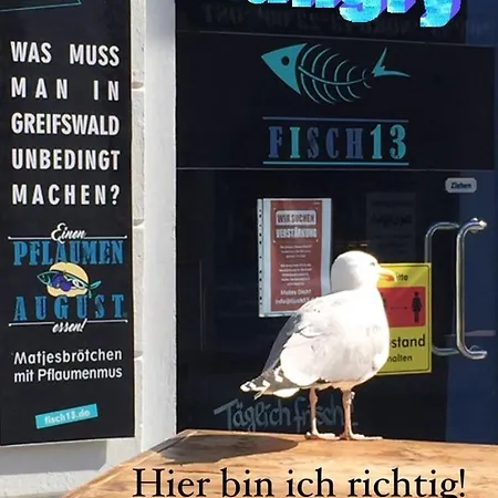 Apartament Mit Grosser Dachterrasse Im Herzen Greifswalds Greifswald