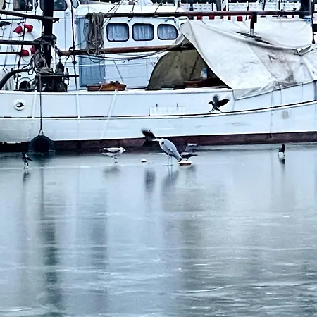 Apartament Mit Grosser Dachterrasse Im Herzen Greifswalds Greifswald
